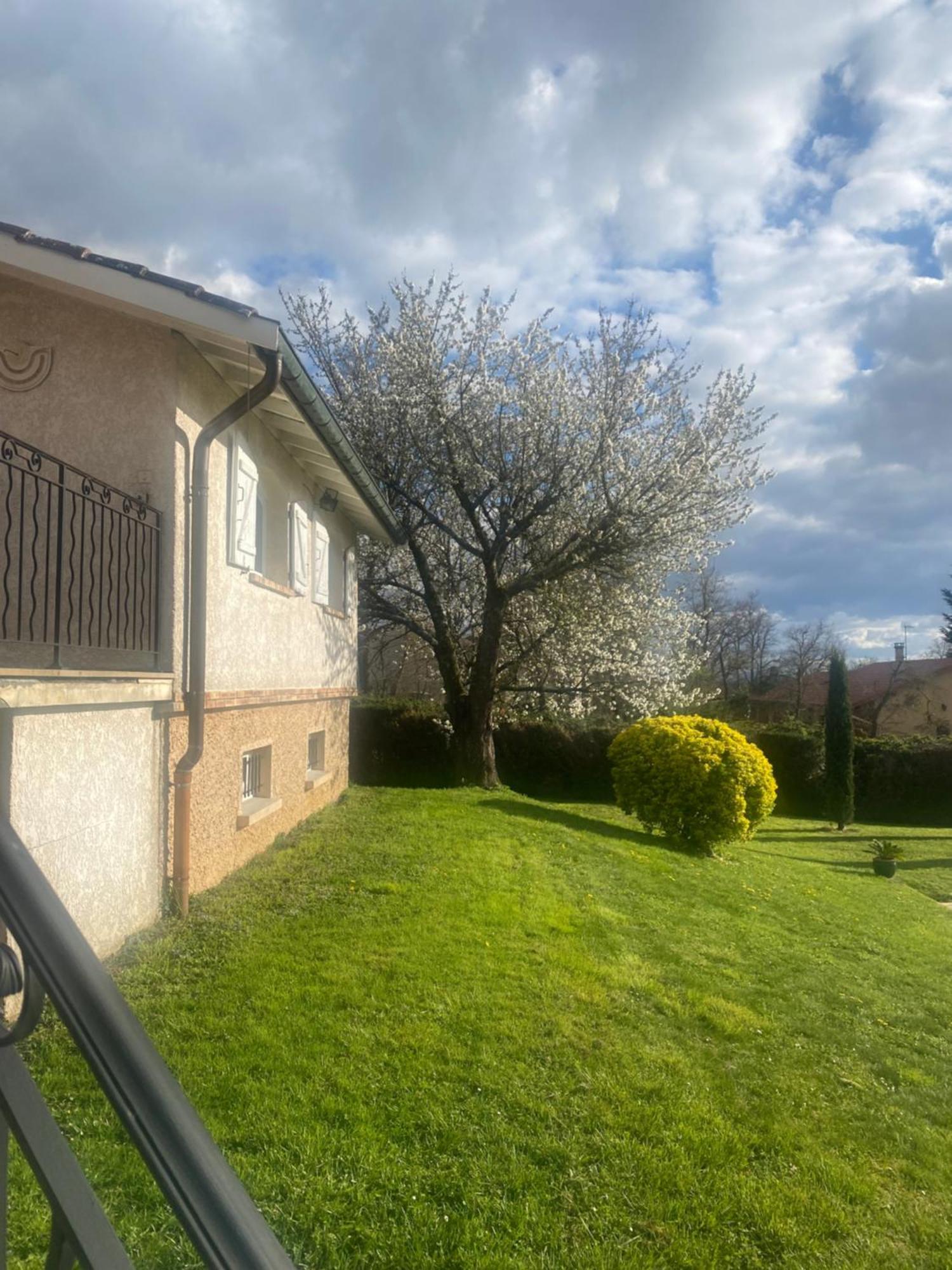 Gite Des Chabaudieres Chaneins Exterior photo