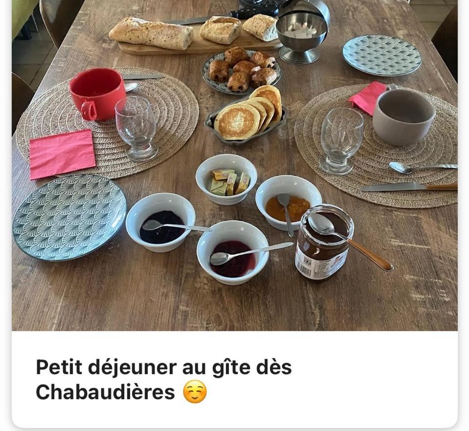Gite Des Chabaudieres Chaneins Exterior photo